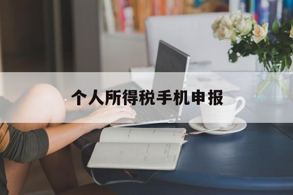 个人所得税手机申报(个人所得税手机申报操作流程图)